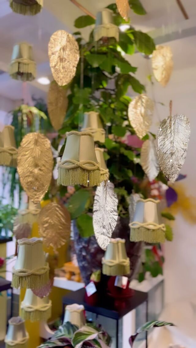 Voor de kerst hebben we in deze leuke lampenkapjes een rood met witte amarillysbol bevestigd.

#lampenkapje #lampenkapjes #satijn #amarillys #amarillysflower #amarillysbloem