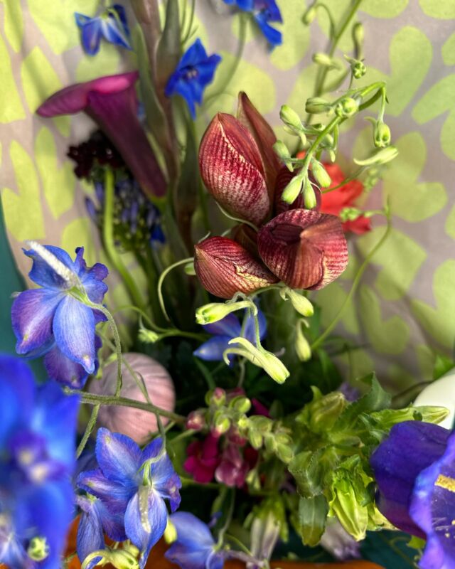 Heerlijk om zoveel verse mooie bloemen binnen te krijgen elke dag! 

#bloemen #boeketten #boeketbloemen #boeket #besteljeboeket #loveflowers #flowers #bouquetofflowers #bouquet